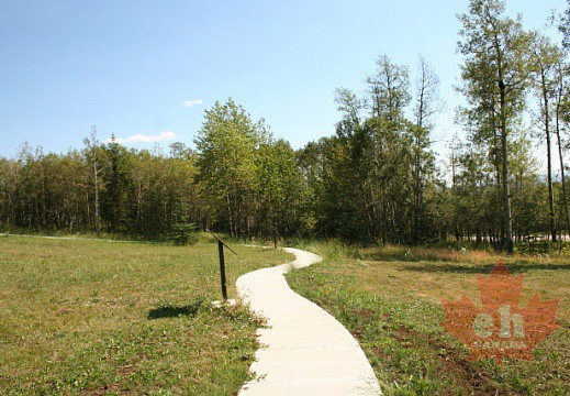 Recreation Trail in Grande Cache