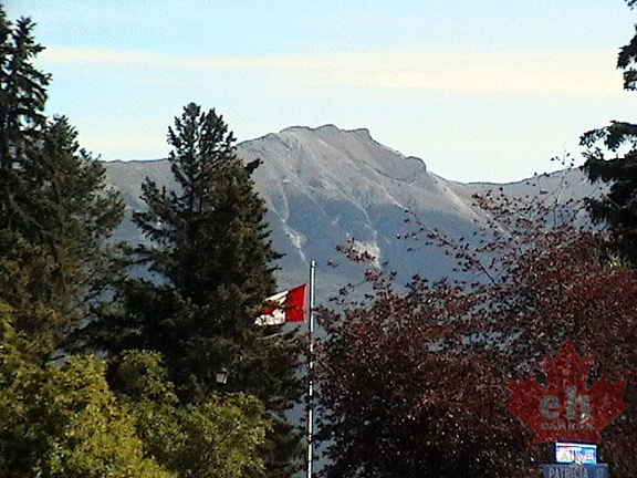 Canadian Flag