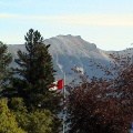 Canadian Flag
