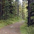 jasper malign lake trails07