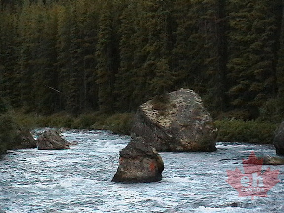 Rosemary's Rock