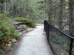 Fenced Trail