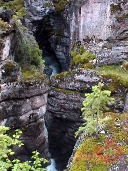 jasper_maligne_canyon_26.JPG