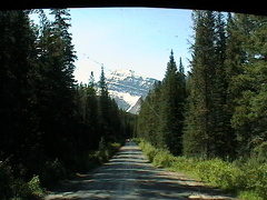 Mt. Edith Cavell Access Road