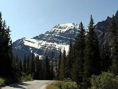 Gravel Road