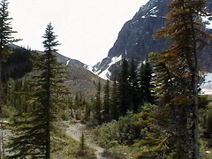 Hiking Mt. Edith Cavell