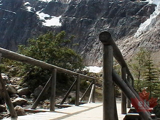 Footbridge on Trail