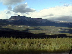 Jasper Park Forests
