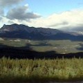 Jasper Park Forests