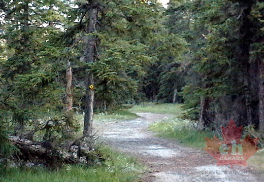Old Fort Trail