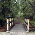 Hiking Patricia Lake