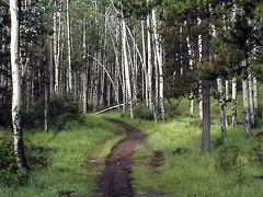Pyramid Bench Trail