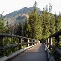 Boardwalk Bridge