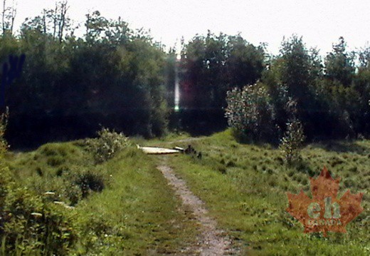Beaver Pond Trail