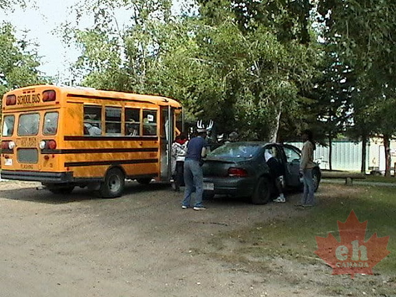 Bus Tours