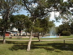Park Views