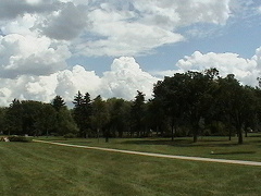 Recreation in the Park