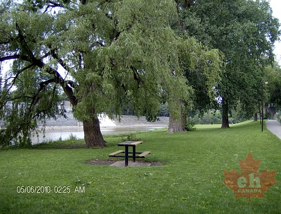 Picnicking in Edmonton