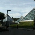 Muttart Conservatory in Edmonton
