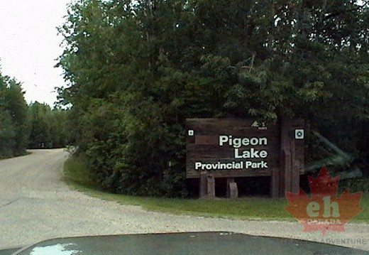 Welcome to Pigeon Lake