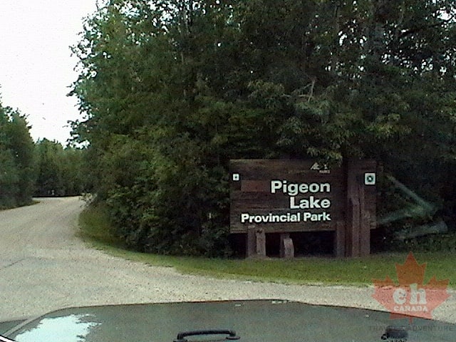 Welcome to Pigeon Lake