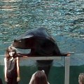 Loving Seal of Approval
