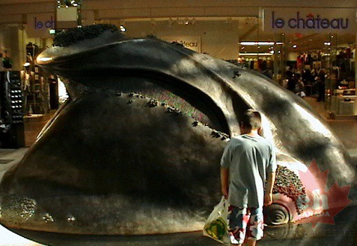 Whale of a Time Shopping