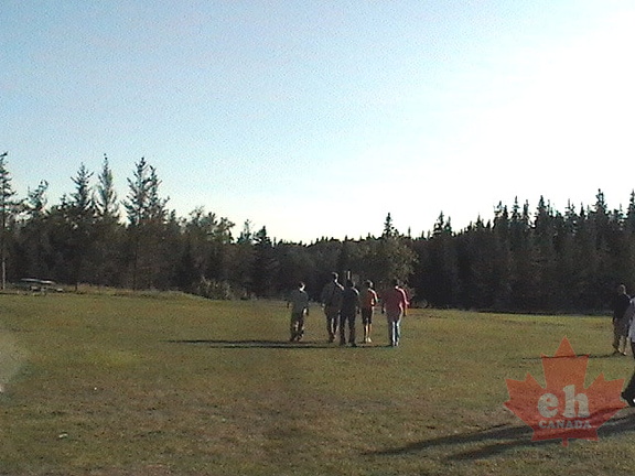 Grassy Lawns