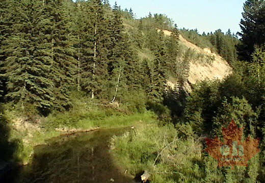 Whitemud Creek