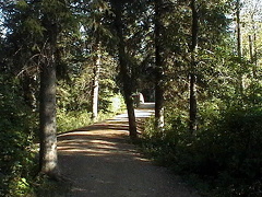 Hiking Trail