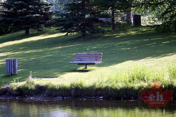Sightseeing Benches