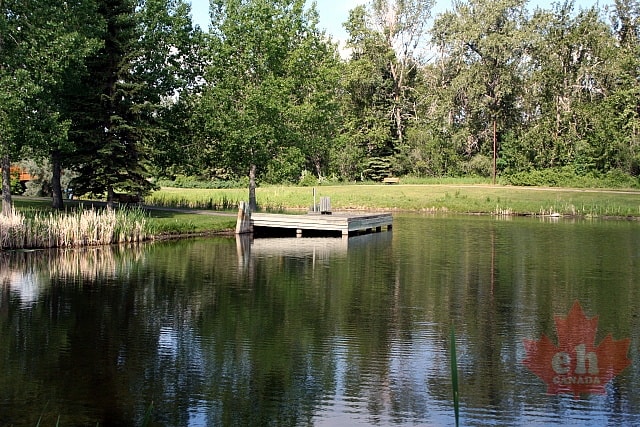 ponds20090710_651.JPG