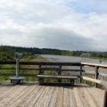 Wetland Lookout