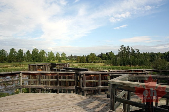 Viewing Decks