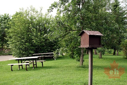 Kerry Wood Nature Centre Picnic Area