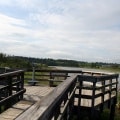 Lookout for Birdwatching