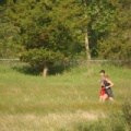 Jogging is for the Birds