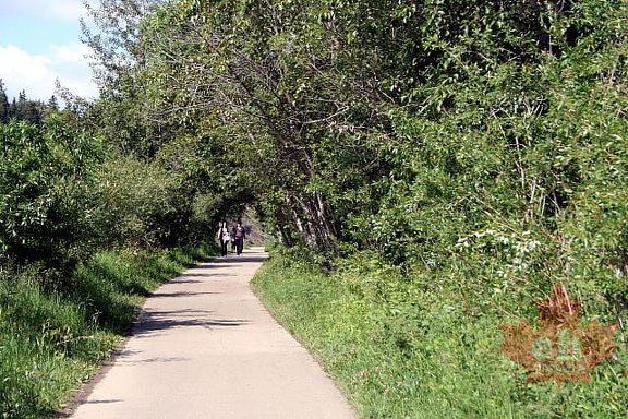 Paved Walkways
