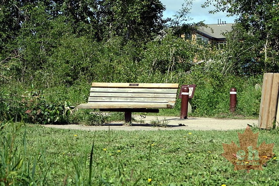 Sightseeing Bench