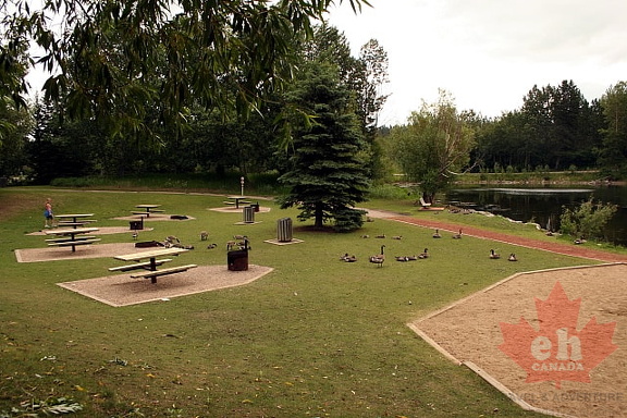 Picnic Area