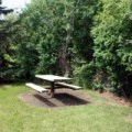 Picnicking