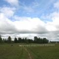 Historic Graveyard