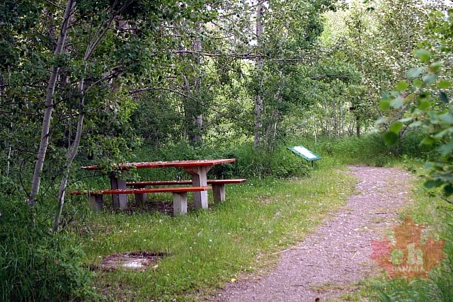 Picnic Site
