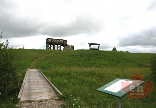 Bison Lookout Tower