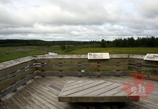 Bison Lookout
