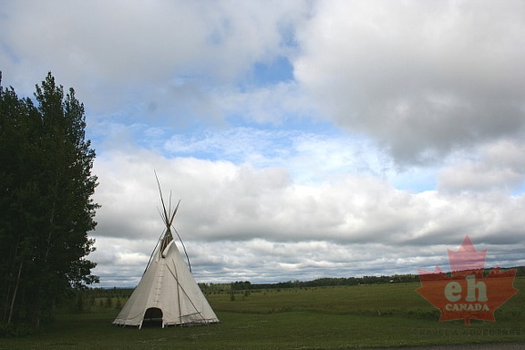 Tipi