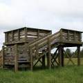 Bison Lookout