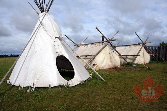 Tipi