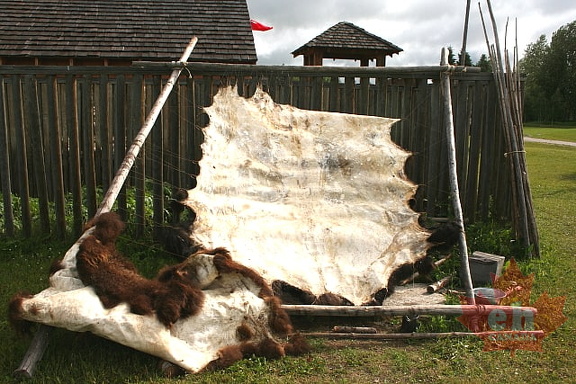 Hides a Drying