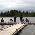 Fishing for Trout